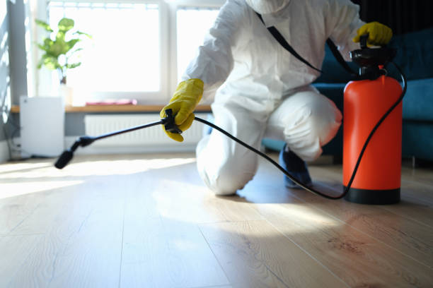 Reliable Sewage Cleanup contractor in Carmichael, CA by Trauma Clean Pros